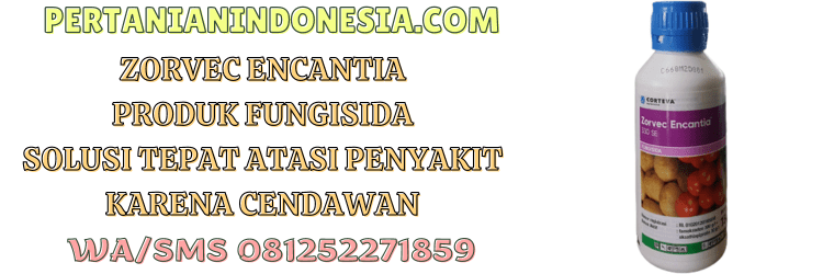 zorvec,zorvec encantia 330 se,pestisida,fungisida,corteva,pertanian indonesia